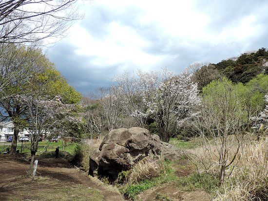 Kamakura Chuo Park